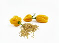 Habanero Yellow  Samen