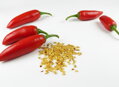 Jalapeno-Samen