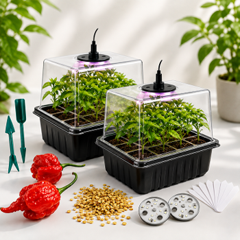 CHILI-SAMEN und GROW-BOXEN