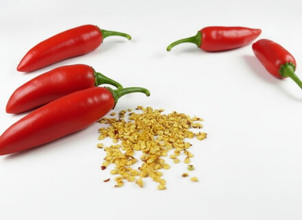 Jalapeno-Samen