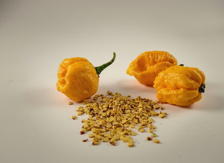 Trinidad Scorpion Yellow-Samen