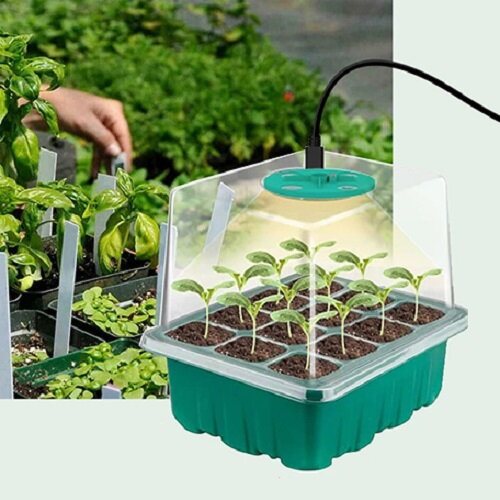 GROW BOX (1x12) KOMPLET mit 1xLED-Beleuchtung, 12 Plätze + 20 Chilisamen GROW BOX (1x12) KOMPLET mit 1xLED-Beleuchtung, 12 Plätze + 20 Chilisamen
