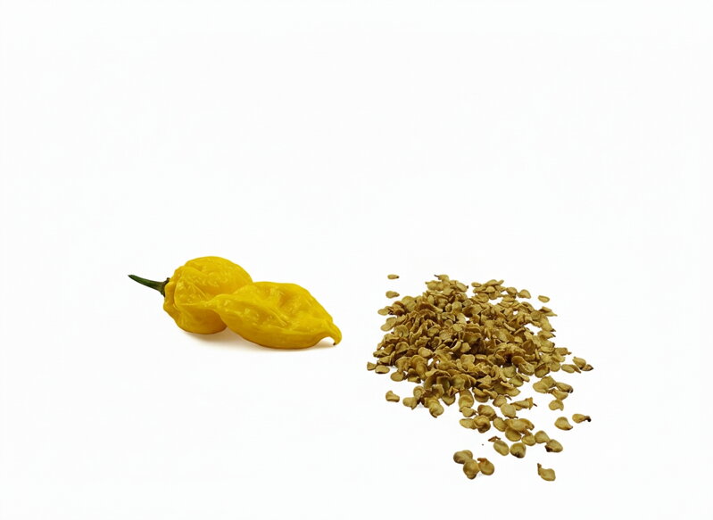 Bhut Yolokia Yellow-Samen